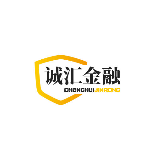 某某金融有限公司